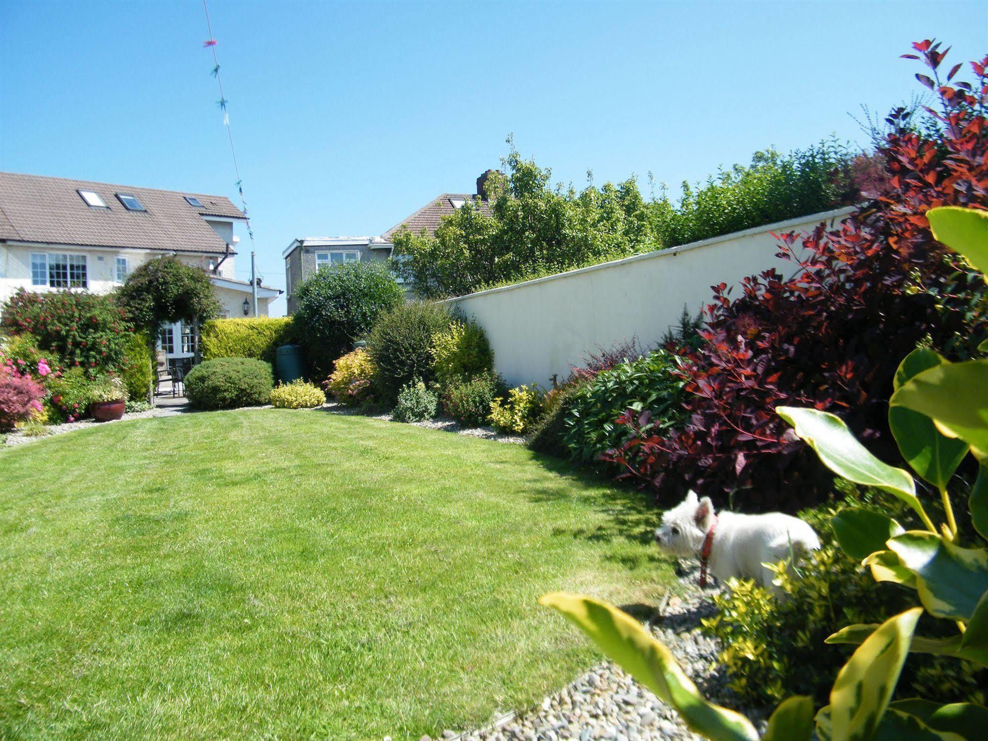 Almanii Bed & Breakfast Dublin Bagian luar foto