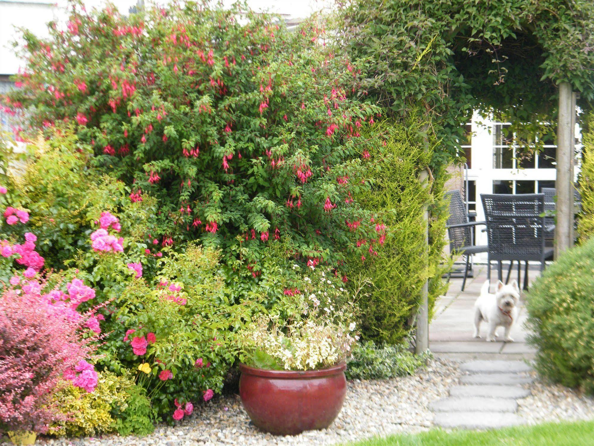 Almanii Bed & Breakfast Dublin Bagian luar foto