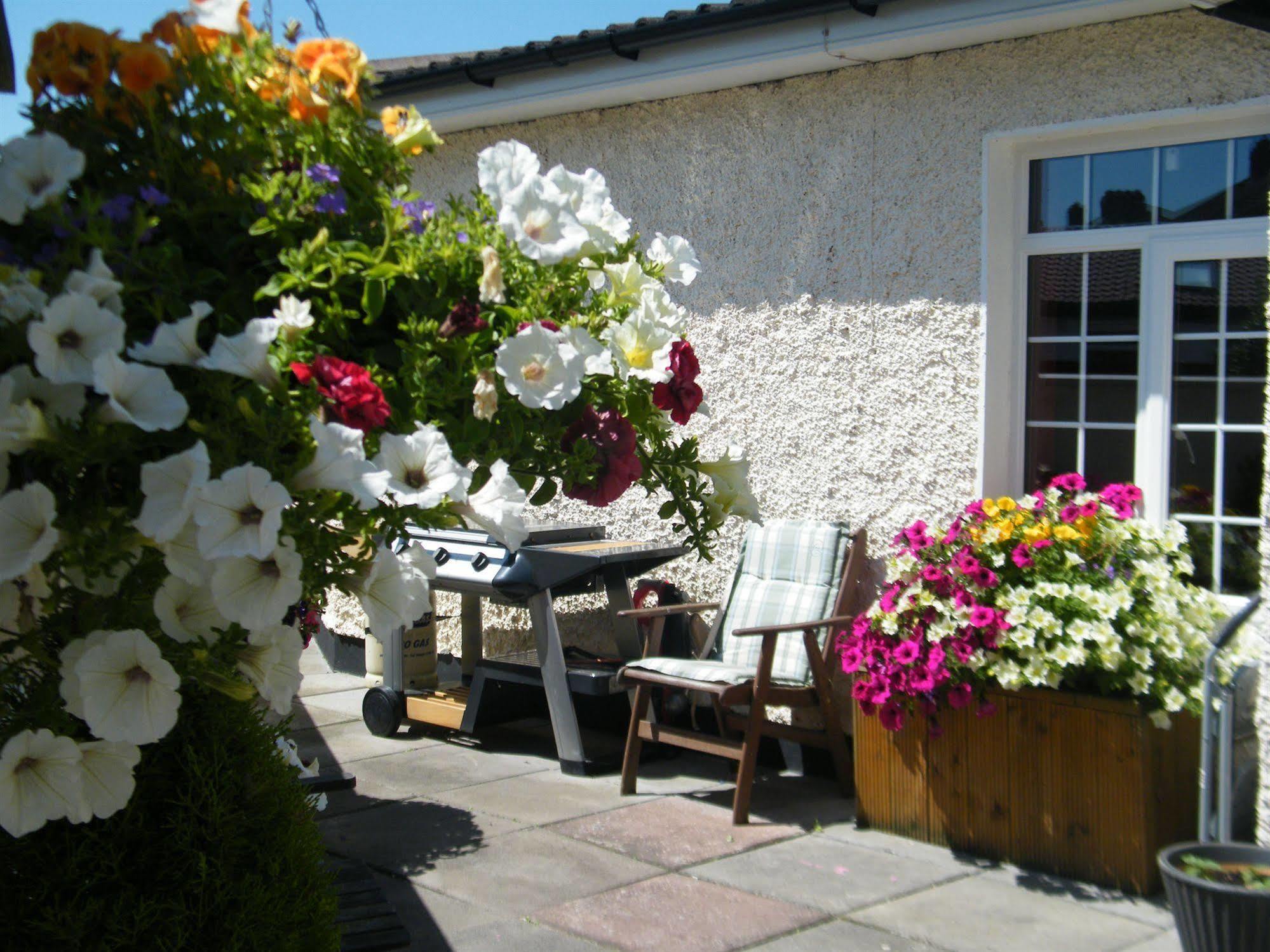 Almanii Bed & Breakfast Dublin Bagian luar foto